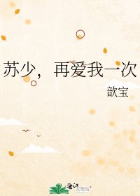 《苏少,再爱我一次》