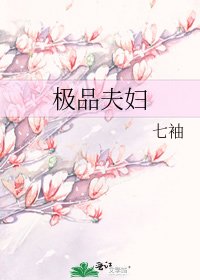 《极品夫辅》