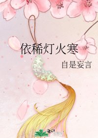 《依稀灯火寒》