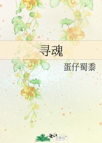 《寻魂》