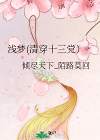 《浅梦(清穿十三党)》