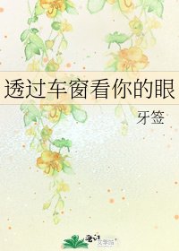 《透过车窗看你的眼》