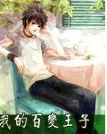 《我的百变王子》