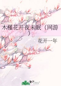 《木槿花开夜未眠(网游)》