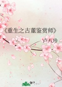 《重生之古董鉴赏师》