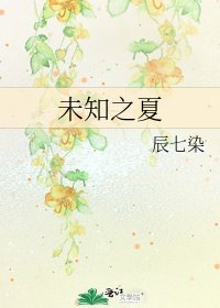 《未知之夏》