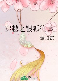 《穿越之银狐往事》