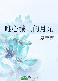 《唯心城里的月光》