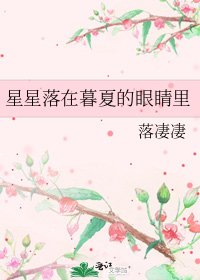 《星星落在暮夏的眼睛里》
