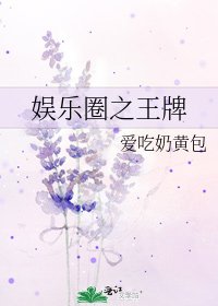《娱乐圈之王牌》