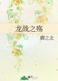 《龙战之殇》