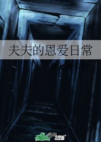 《夫夫的恩爱日常》