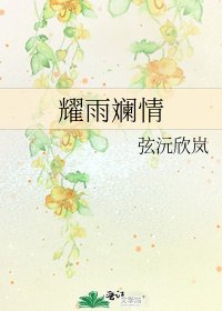 《耀雨斓情》