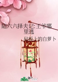 陆六六择夫记:王爷哪里逃