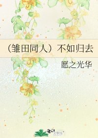 《(雏田同人)不如归去》
