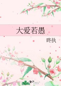 《大爱若愚》