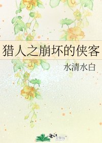 《猎人之崩坏的侠客》