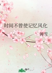 《时间不曾使记忆风化》