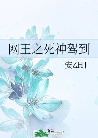 《网王之死神驾到》