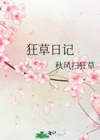《狂草日记》