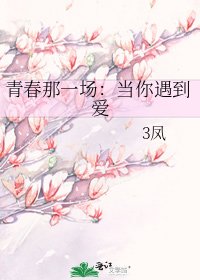 《青春那一场:当你遇到爱》