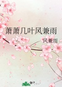 《萧萧几叶风兼雨》