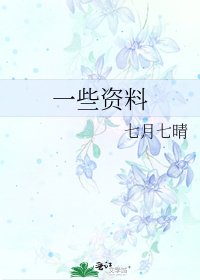《一些资料》