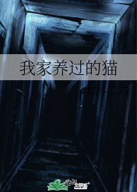 《我家养过的猫》