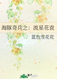 《海豚奇兵之:流星花袁》