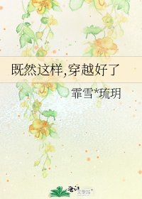 《既然这样,穿越好了》