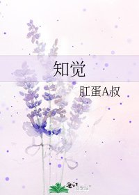 《知觉》