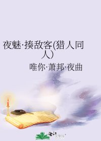 《夜魅·揍敌客(猎人同人)》