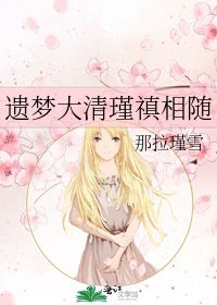 《遗梦大清瑾禛相随》