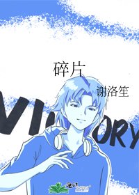 《碎片》