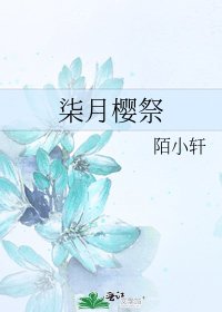 《柒月樱祭》