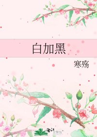 《白加黑》