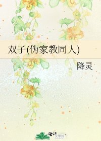 《双子(伪家教同人)》