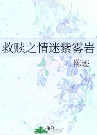《救赎之情迷紫雾岩》