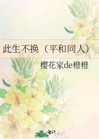 《此生不换(平和同人)》