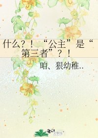 《什么?!“公主”是“第三者”?!》