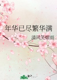 《年华已尽繁华满》