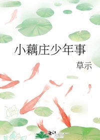 《小藕庄少年事》
