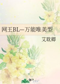 《网王BL—万能唯美型》