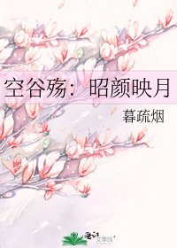 《空谷殇:昭颜映月》