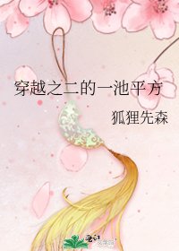 《穿越之二的一池平方》