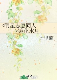 《镜花水月》
