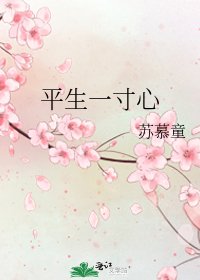 《平生一寸心》