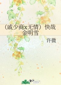 《(戚少商x无情)快哉金明雪》
