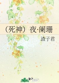《(寺神)夜·阑珊》