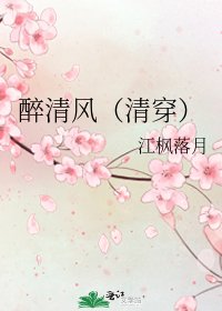 《醉清风(清穿)》